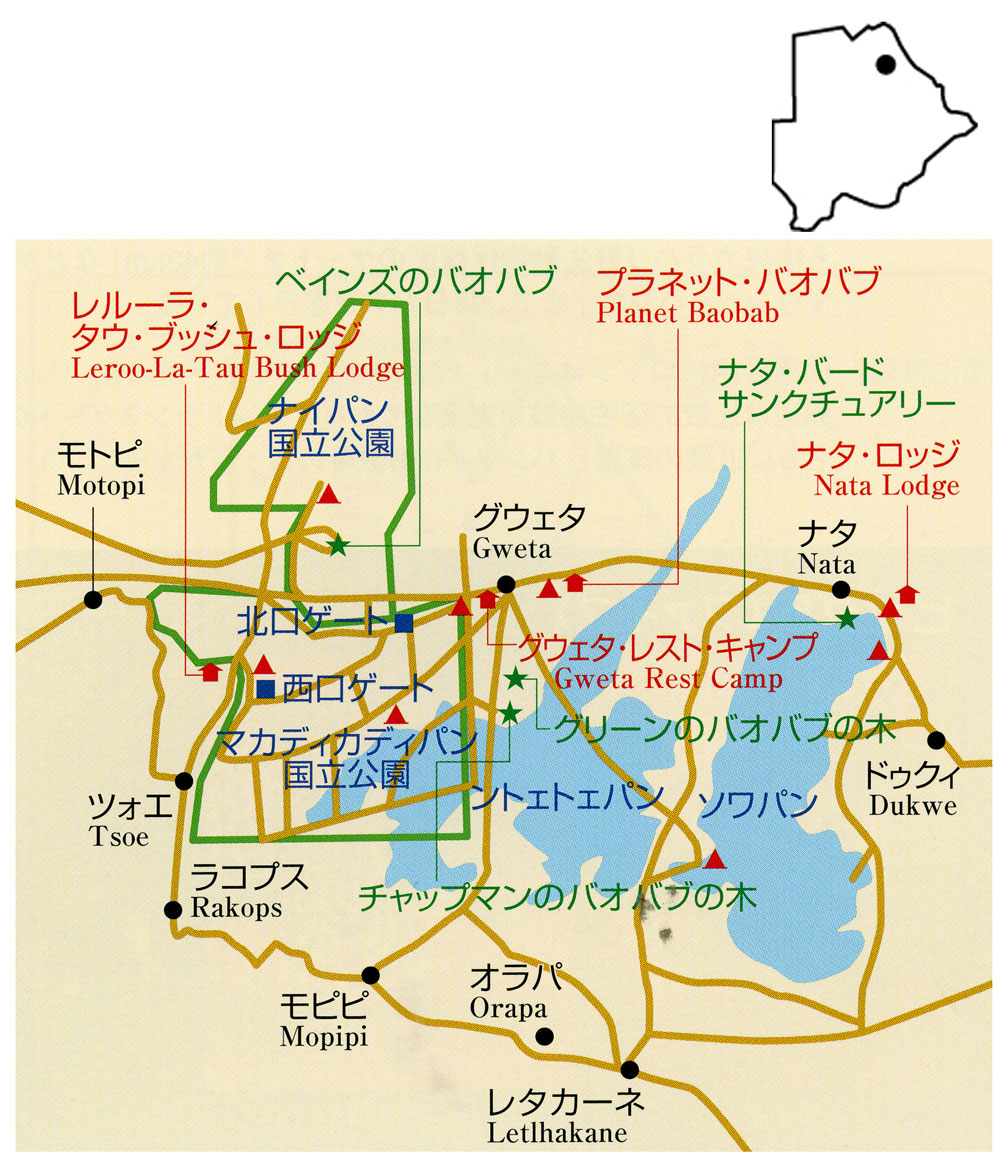 map-bwMakgadikgadiPansFace.jpg
